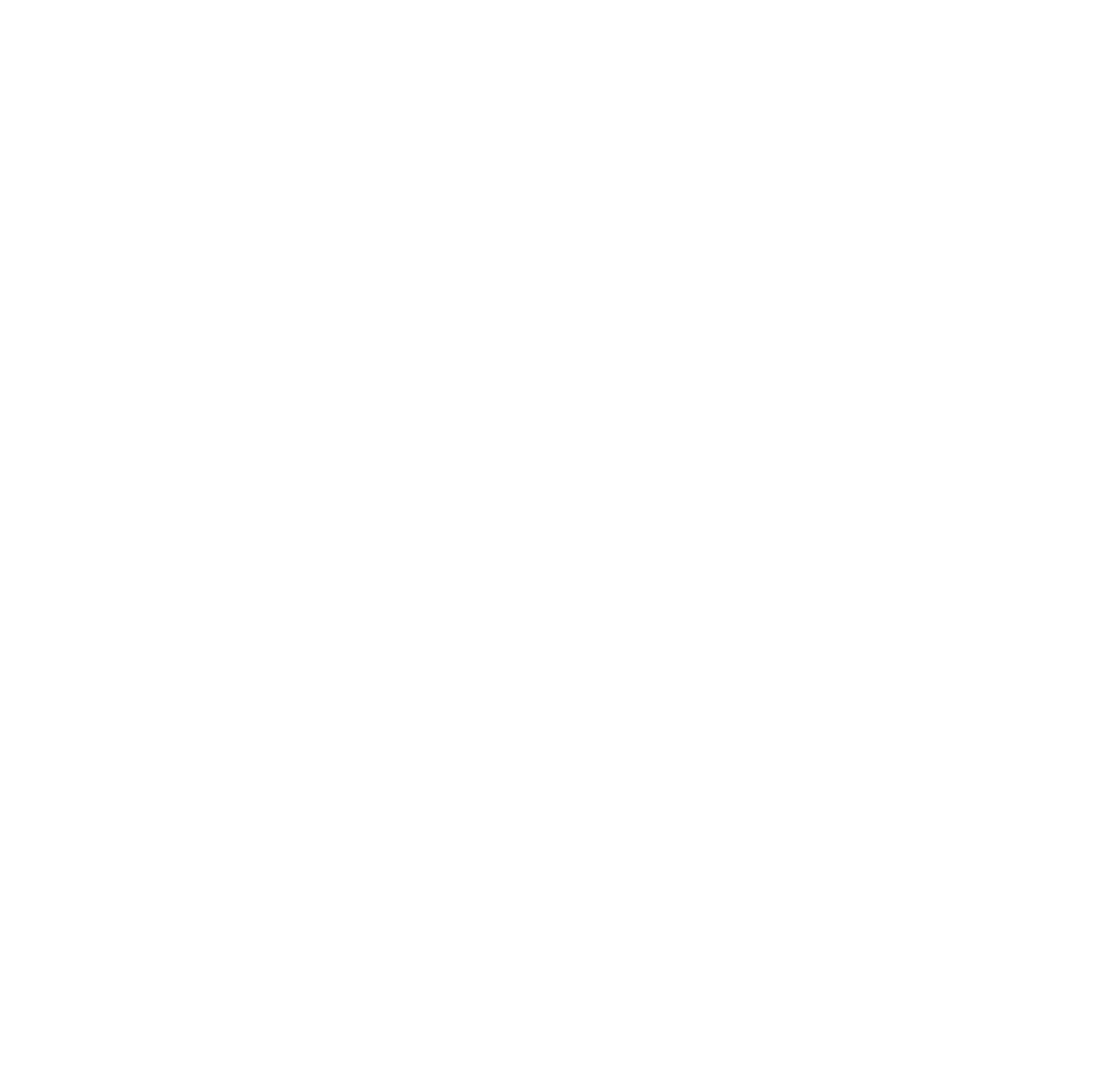 Naja White logo Transparent